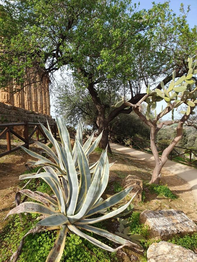 ריאלמונטה Villa Maresa Home מראה חיצוני תמונה