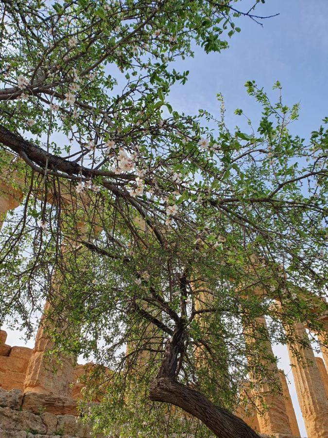 ריאלמונטה Villa Maresa Home מראה חיצוני תמונה